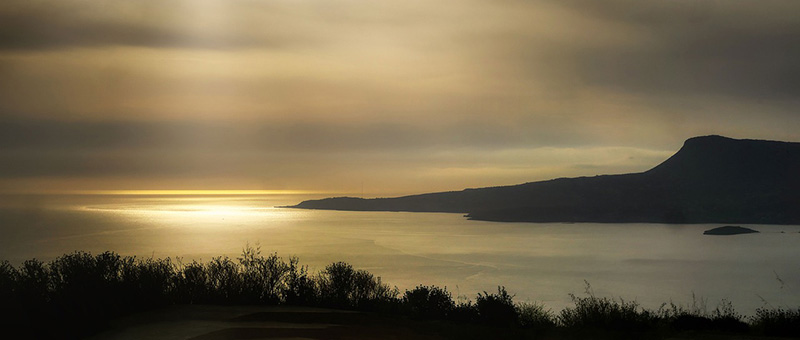 Taureau-de-crete